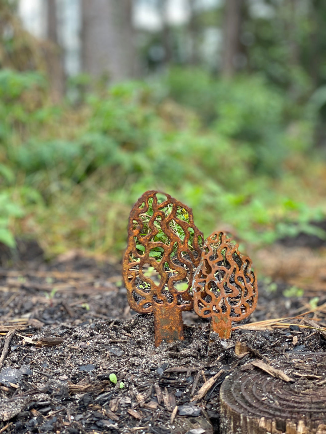 Morel Mushroom Garden Art