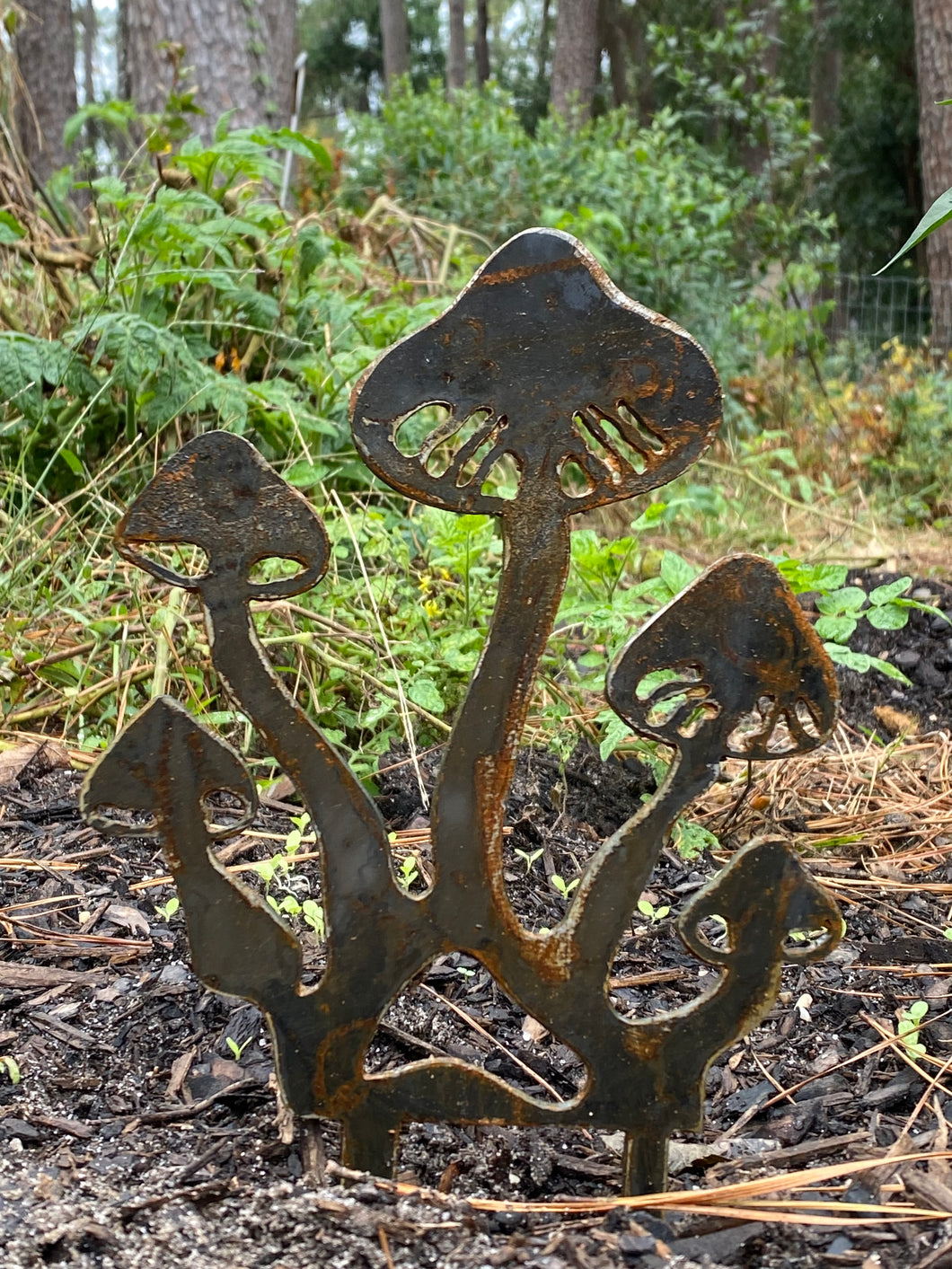 Fairy ring of mushroms garden art