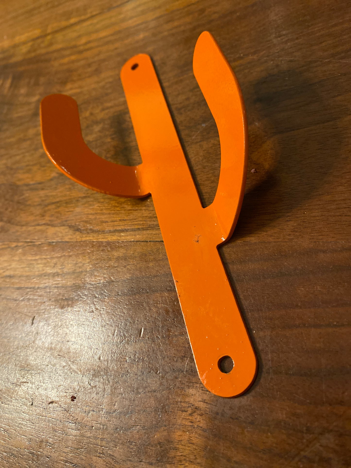 Cactus Metal Coat Hook